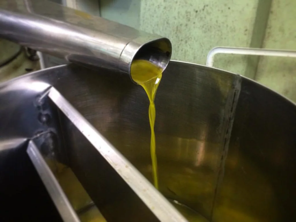 Filet d'huile végétale dorée en cours d'extraction par pression, sans emballage de marque